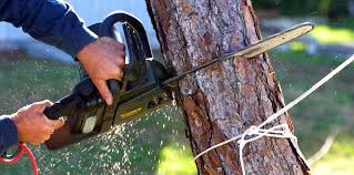Best Commercial Tree Services  in Gordon Heights, NY