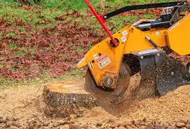 Best Lawn Grading and Leveling  in Gordon Heights, NY