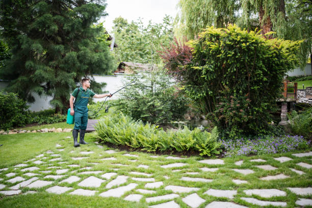 Best Hazardous Tree Removal  in Gordon Heights, NY
