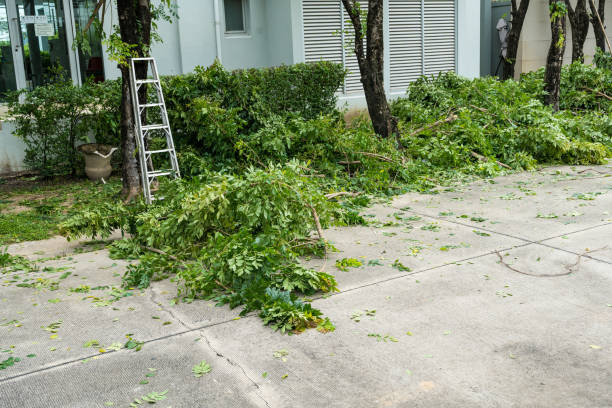 Best Pest Control for Lawns  in Gordon Heights, NY