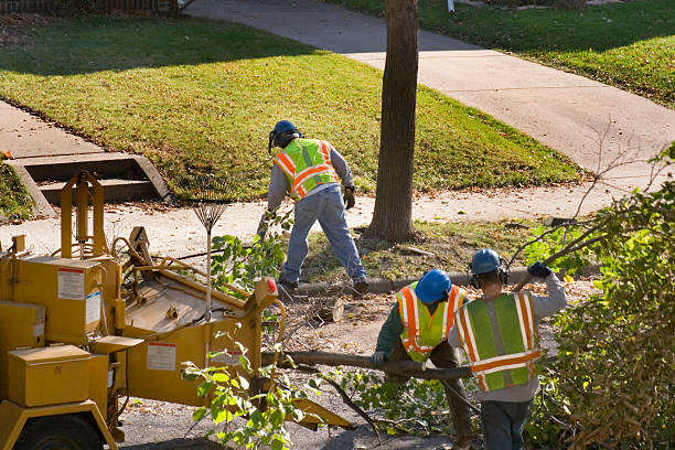 Lawn Watering Services in Gordon Heights, NY